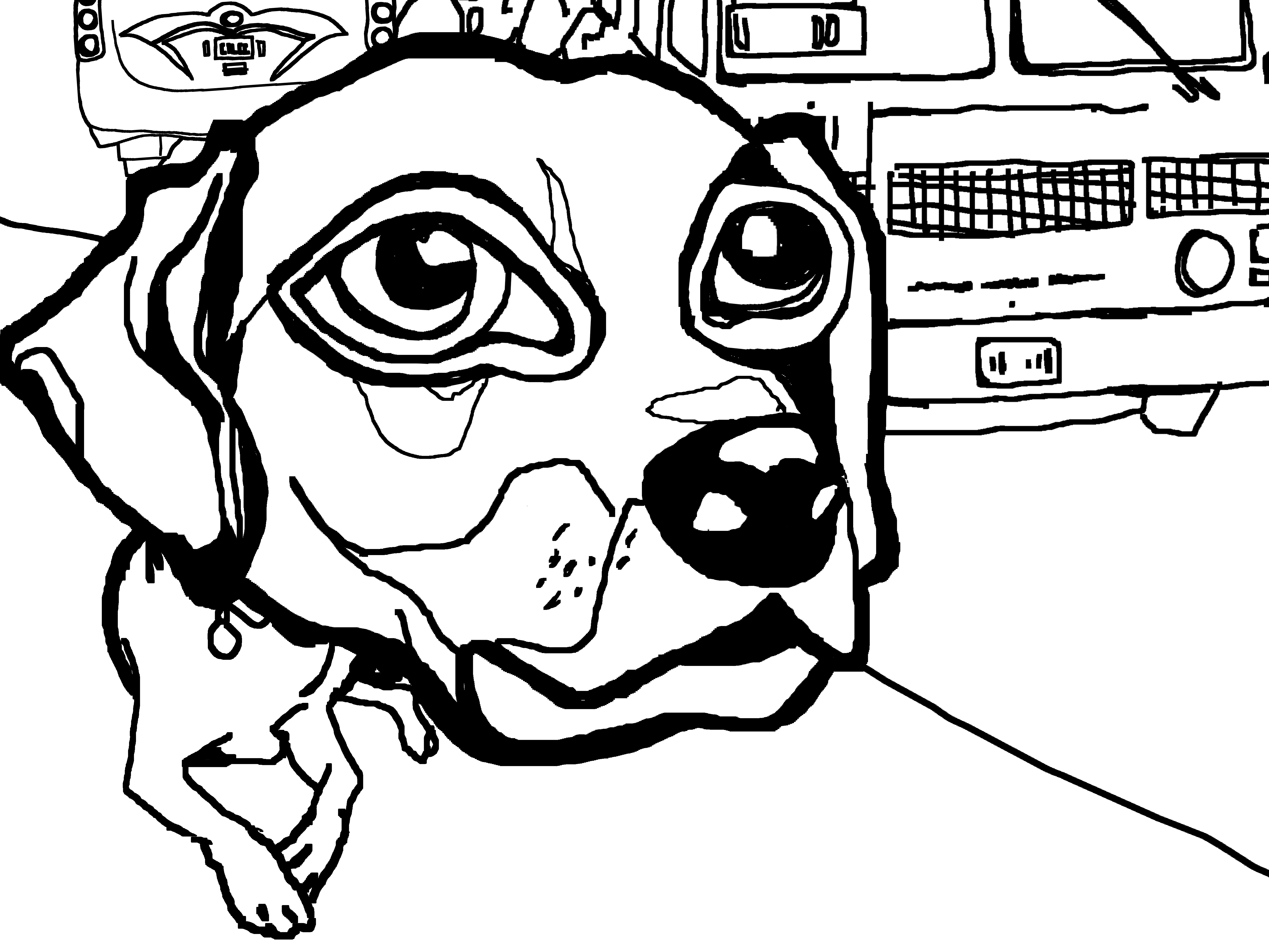 perros1a